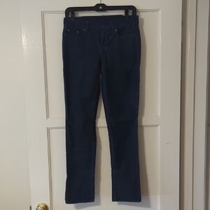 J. Crew Blue Vintage Matchstick Skinny Leg Corduroy Pants